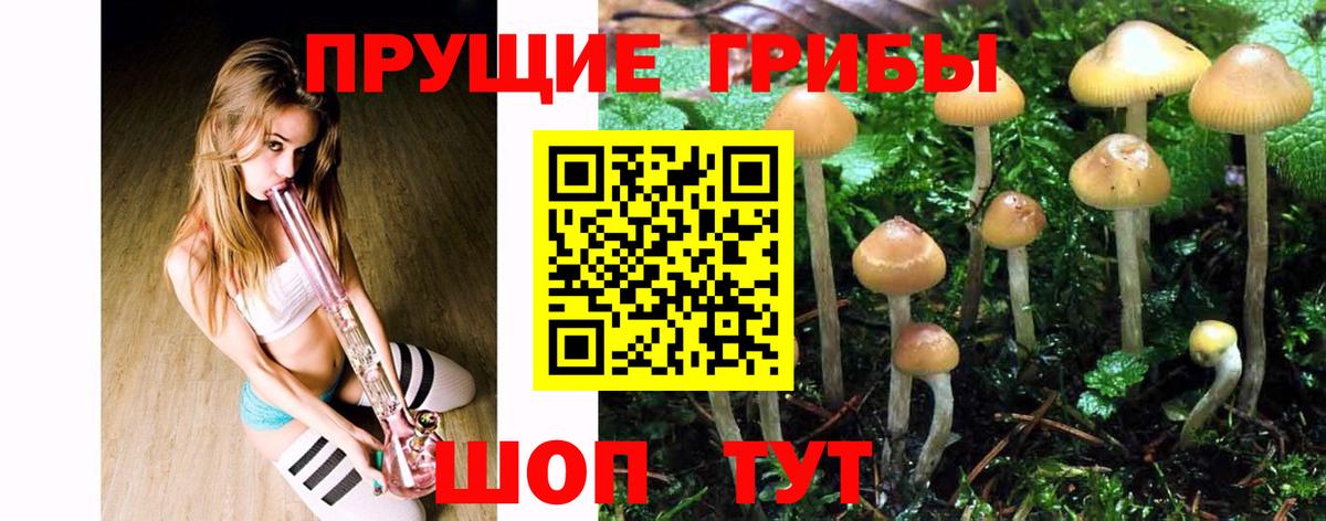 Галлюциногенные грибы Psilocybe Ливны